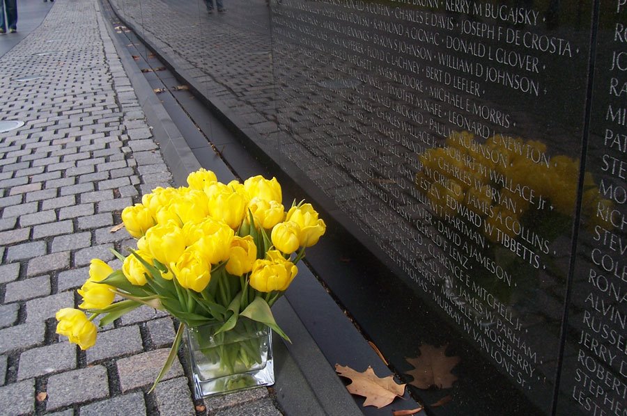 Vietnam_Memorial_by_Photo5newdude by Dabo's Fotos