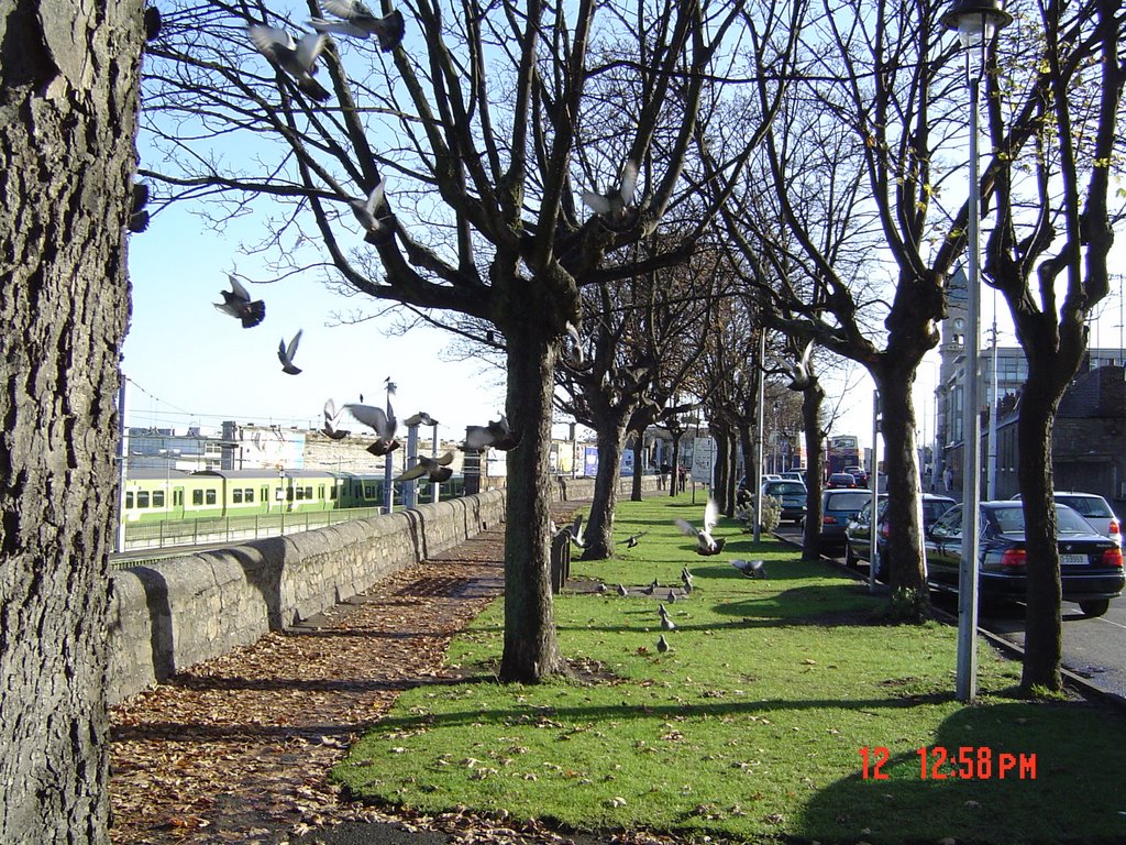 Dun Laoghaire by yanglong