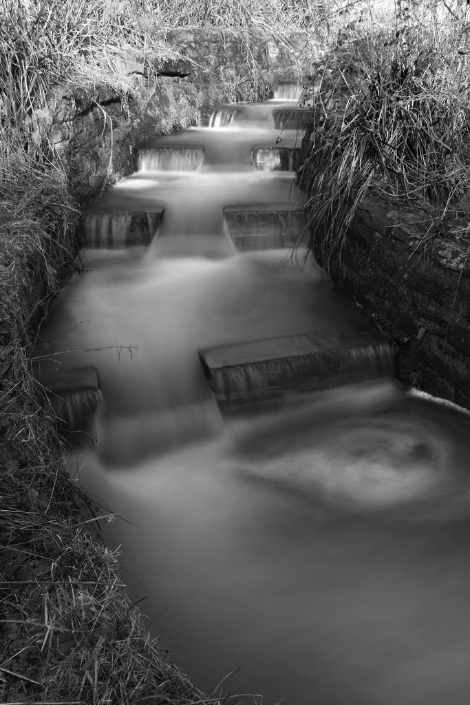 FISH LADDER AT DUXBURY WEIR (RIVER YARROW), YARROW VALLEY, CHORLEY, LANCASHIRE, ENGLAND. by ZACERIN