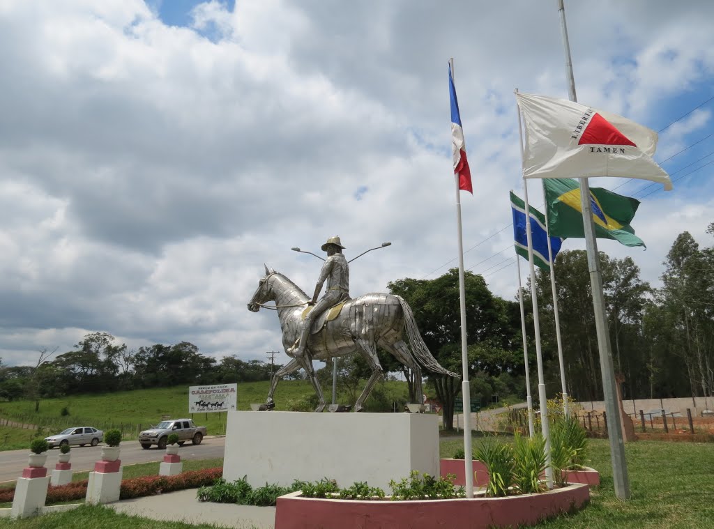 Escultura do cavalo campolina by ADILSON REZENDE-ARS