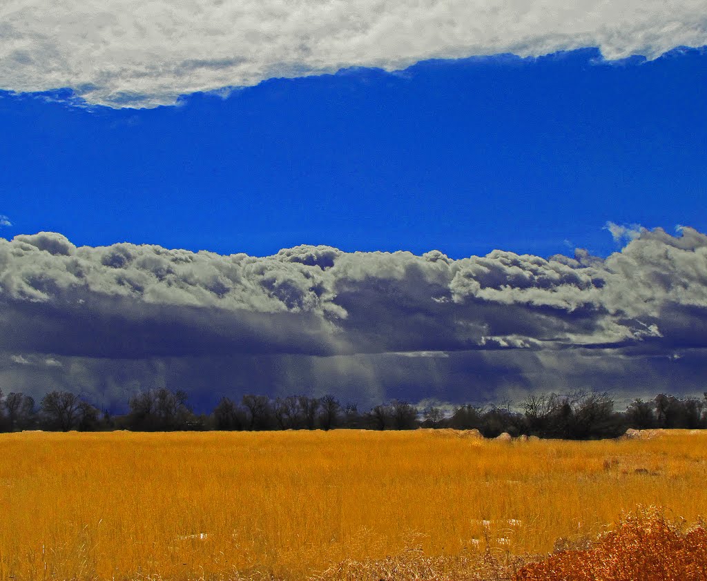 Stormy Afternoon by idahodon