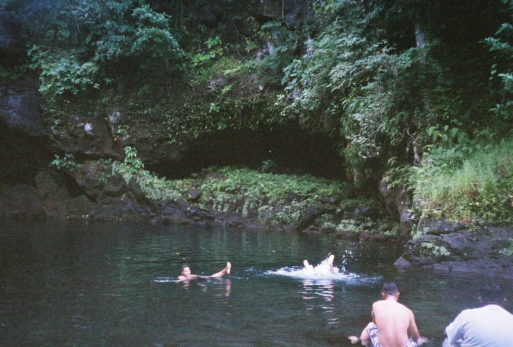 More pond swimming by maduersch