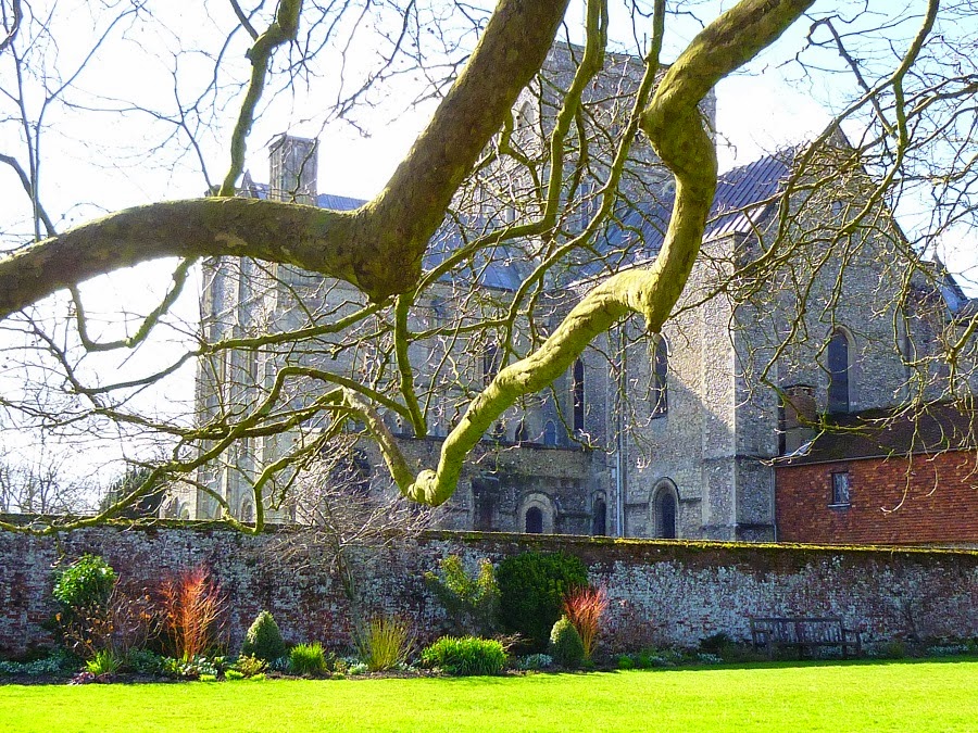 Saint Cross Hospital and Almshouse, from the back Garden by Gracie Griffiths