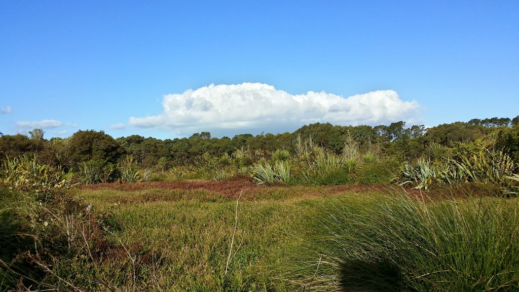 Remeura reserve, Auckland, New Zealand by ba1anse