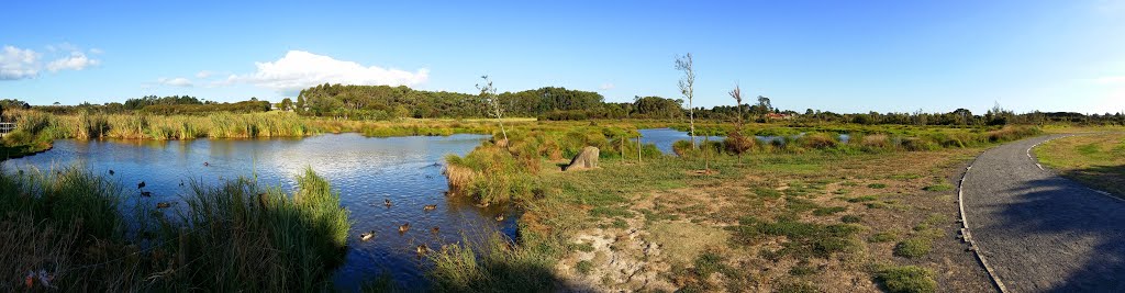 Remeura reserve, Auckland, New Zealand by ba1anse