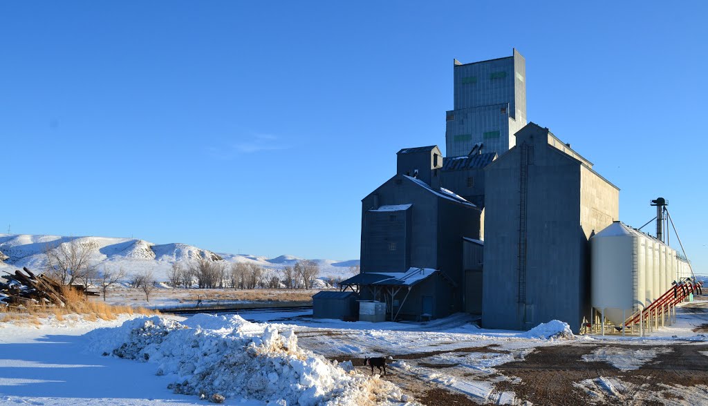 Dry Fork Ag in Ledger, MT by JB Chandler