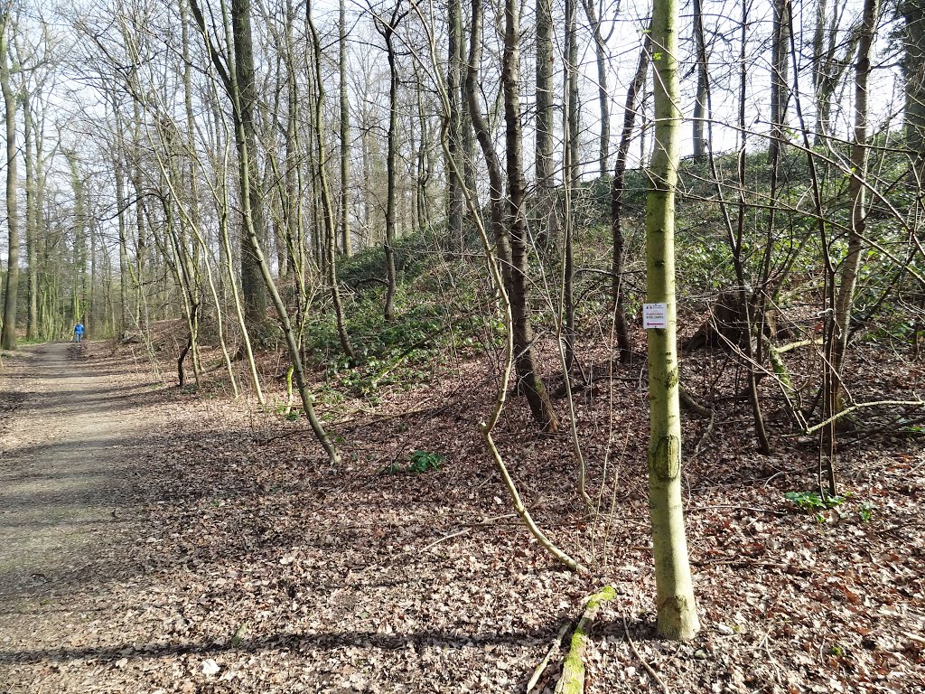 Bild entlang des Steinbücheler Mühlenweges by Heinz Mroncz aus Lev