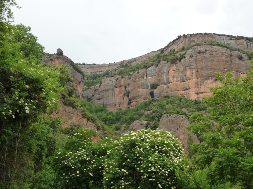 Cingles a la vall del riu Serradell (Conca de Dalt) by Pedraferit