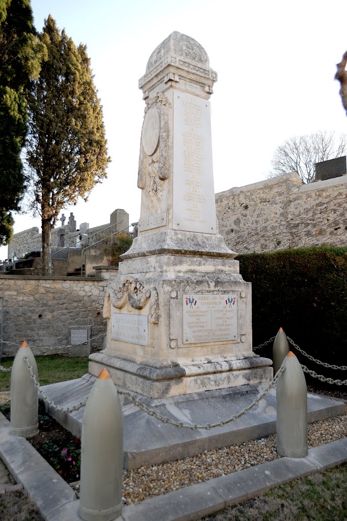 Monument aux morts à Castelnau le Lez by Dominique Salé