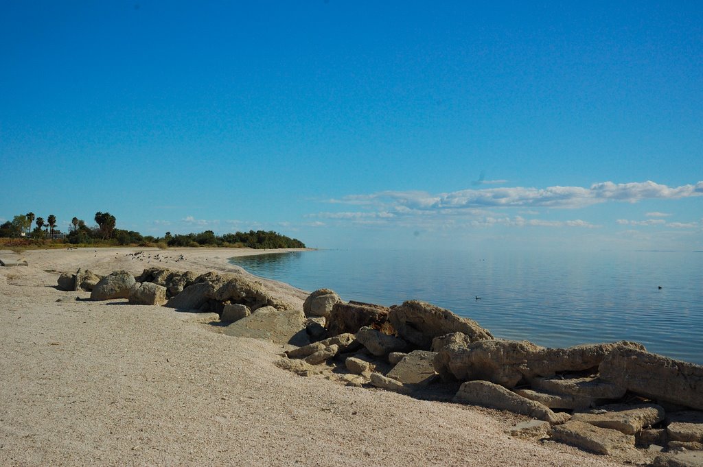 California's Salton Sea, northeastern edge by Diddley Squat