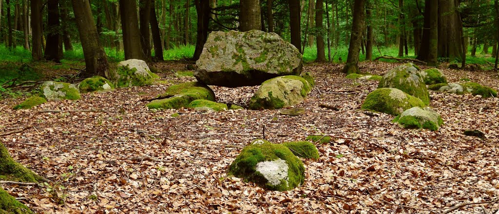 Germany_Mecklenburg_Altkalen_megalithic tomb_P1520501 by George Charleston