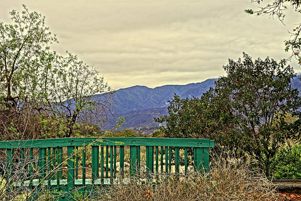 Stands Out • SAnta Fe Dam by Easy Street Images ©