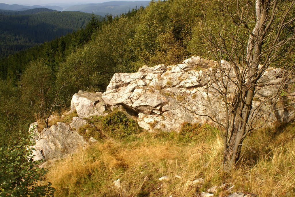 Hammersteinklippen (Harz) by Altmeister