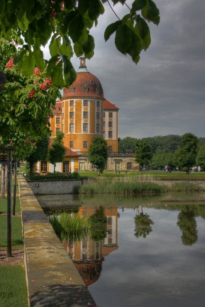 Schloss by Mirko Knauth