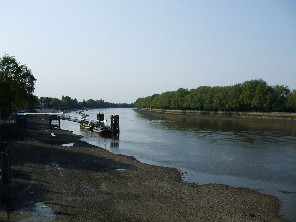 River Thames from Putney Bridge by pema_aum