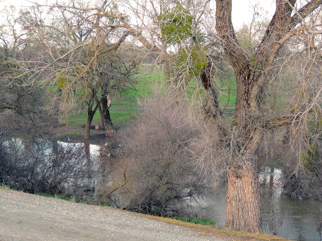 Gravel Road along the banks of Steelhead Creek by Steve Schmorleitz, NationalParkLover.com