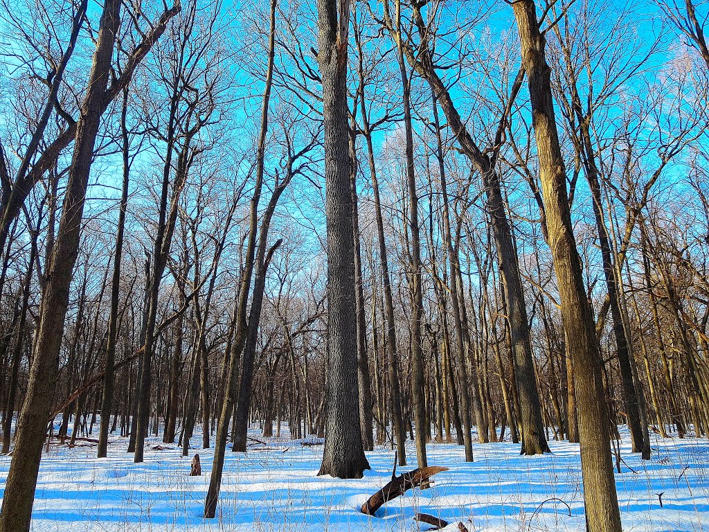 UW Arboretum by Corey Coyle