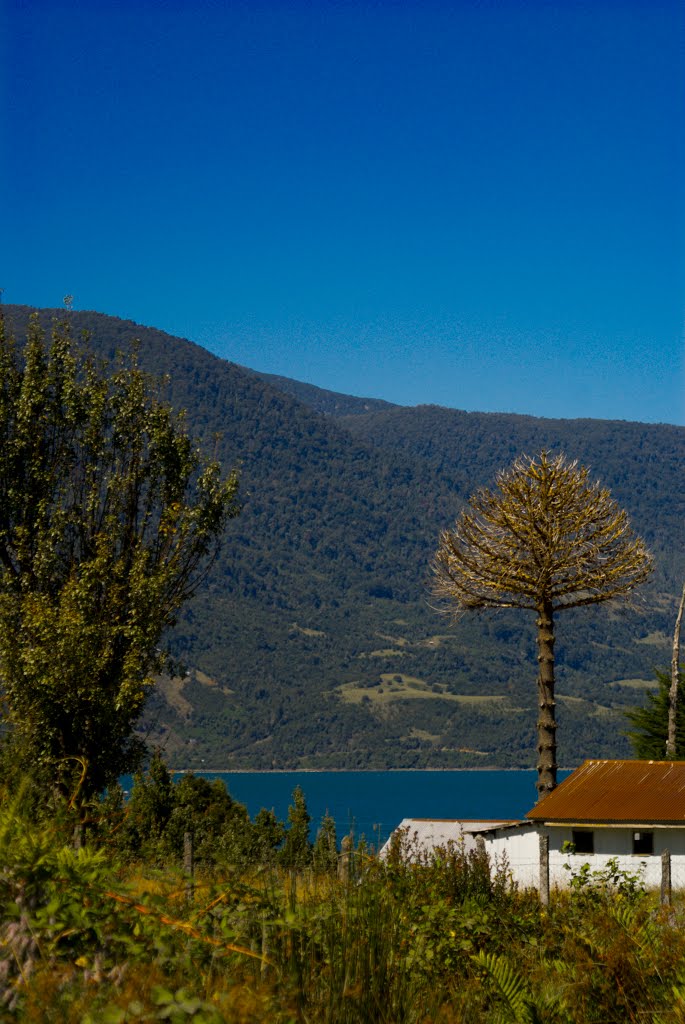 Cochamó - A. Godoy by Alejandro Godoy