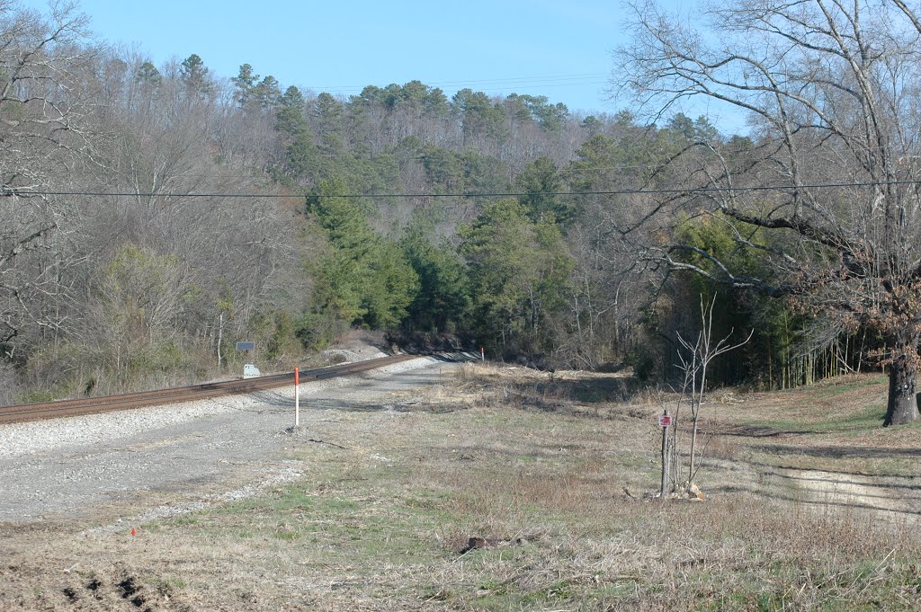 CSX Building a Railroad siding facing Northbound by nchappell