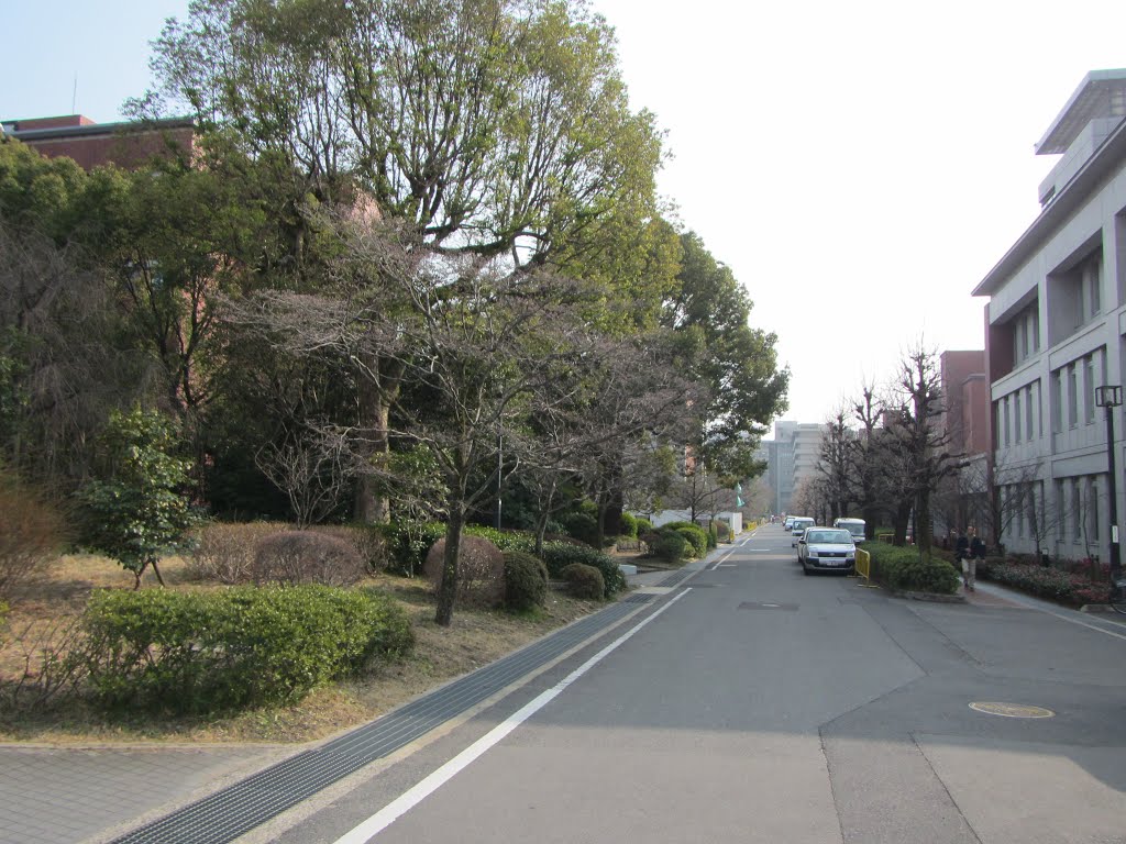 京都大学 by mariemon