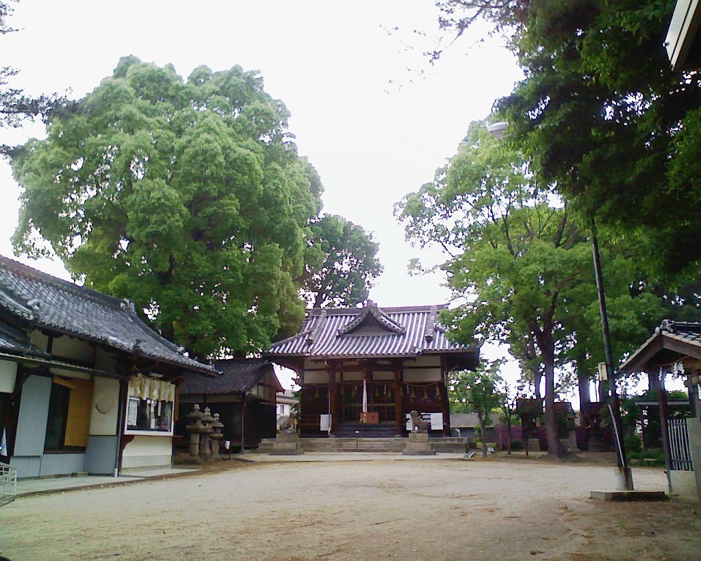 Yakumo Shrine by rgst4