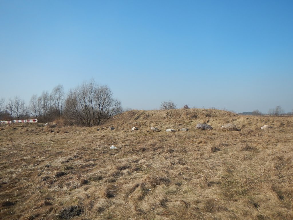 Wczesnośredniowieczny gród na obrzeżach Grodziska Mazowieckiego by aeternus