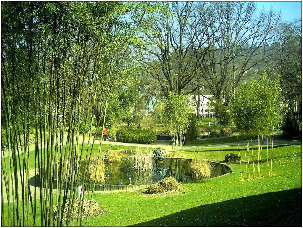 March Frühling Freiburg Germany - Master Botany Photography 2014 Botanischer Garten bampoo by jettcom