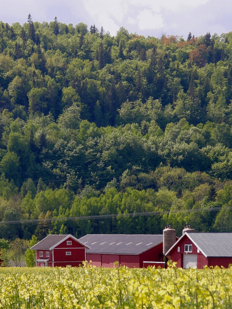 En Vestfold gård by gert53