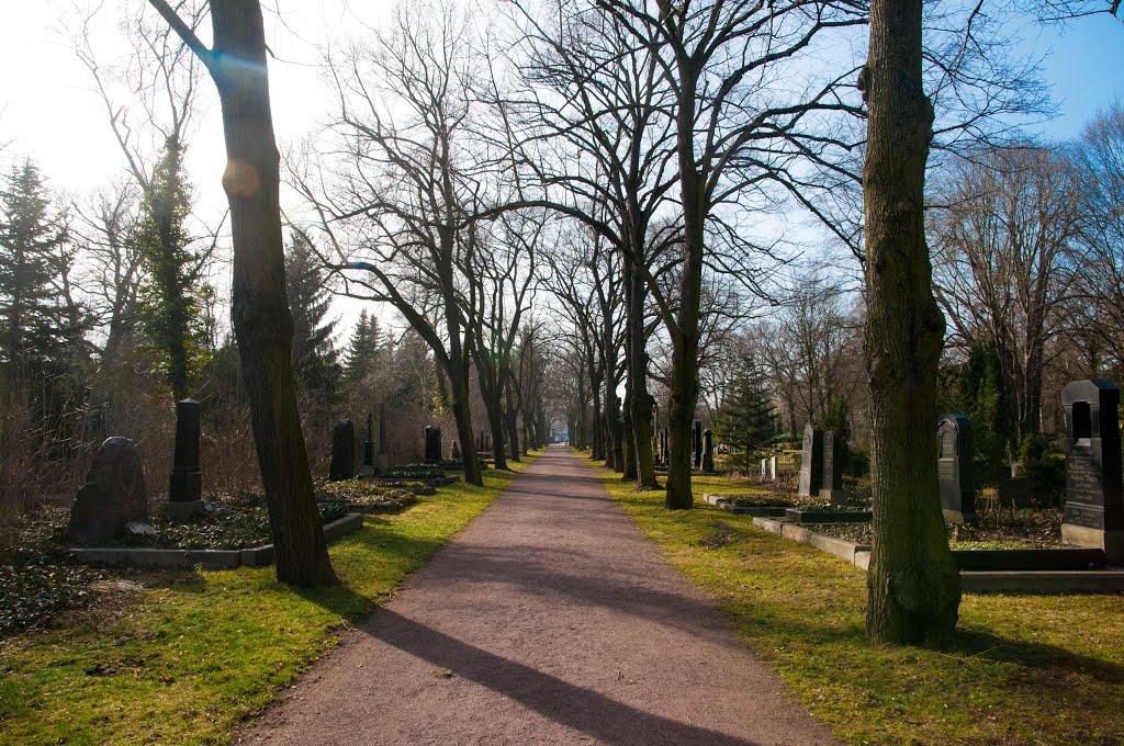 Allee im Nordfriedhof by Thoralf Schade