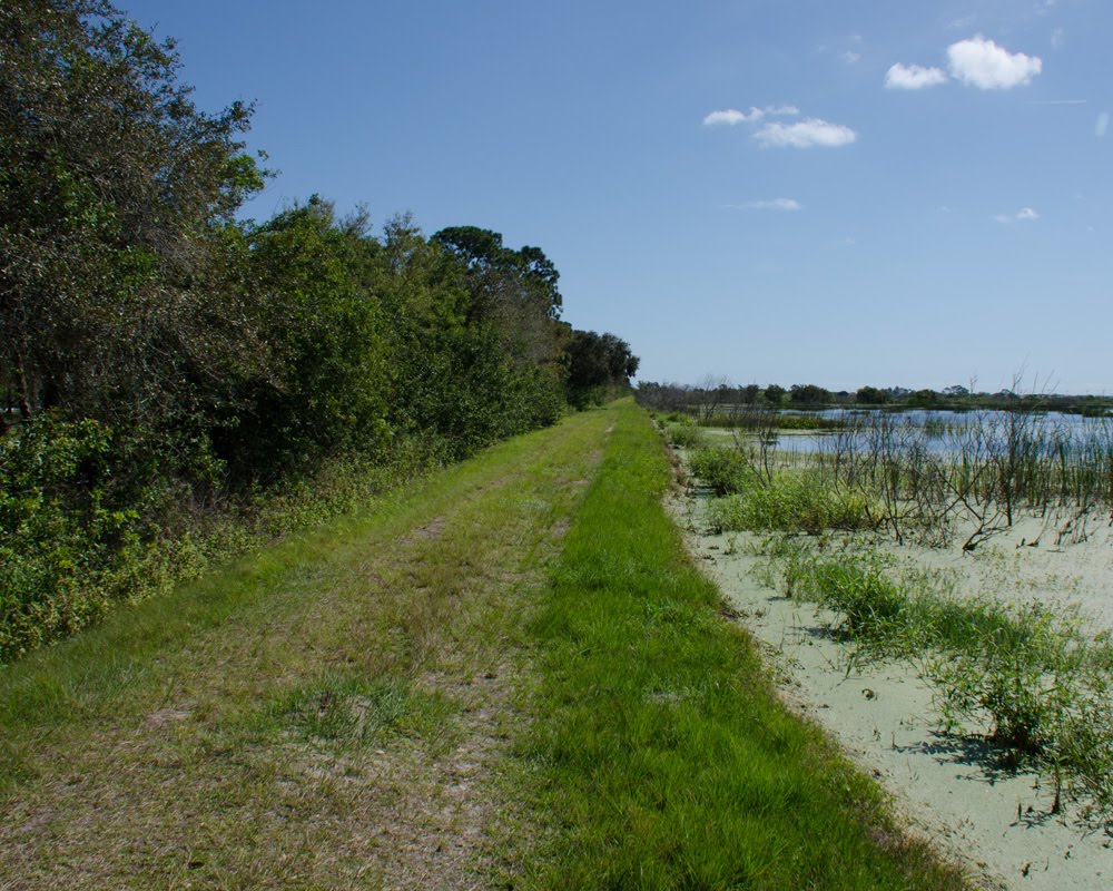 Looking East from the north boundary by BBPhotoworks