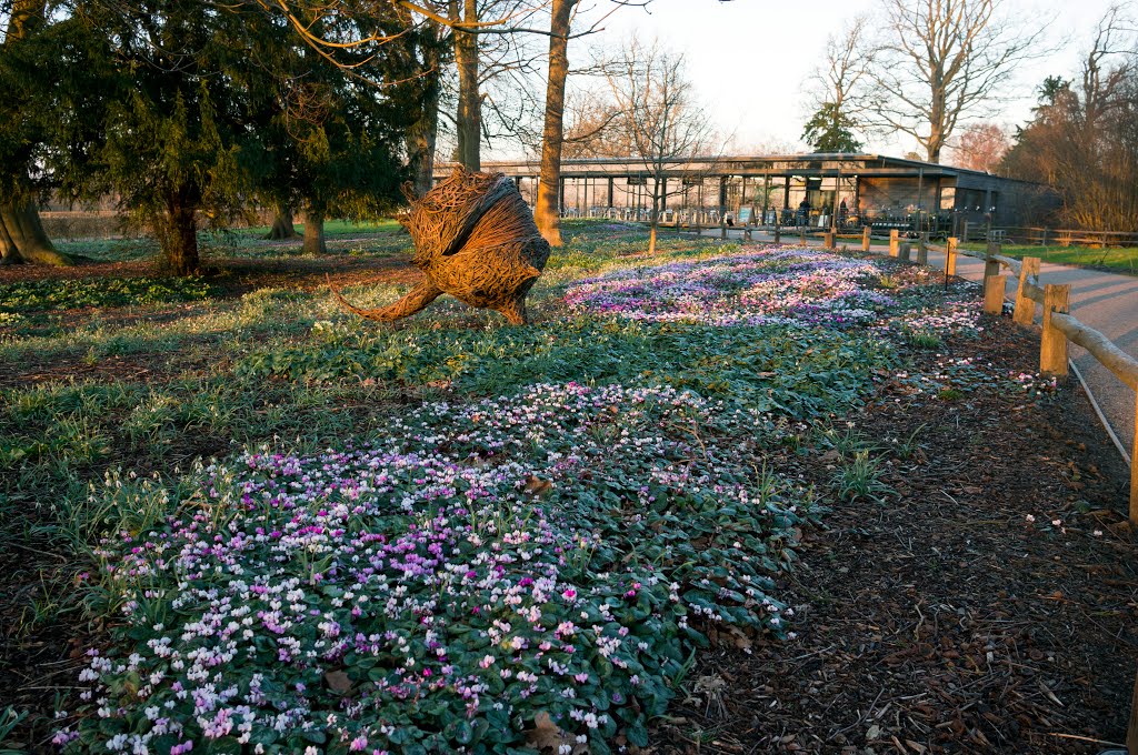 Wakehurst Place by arunasst