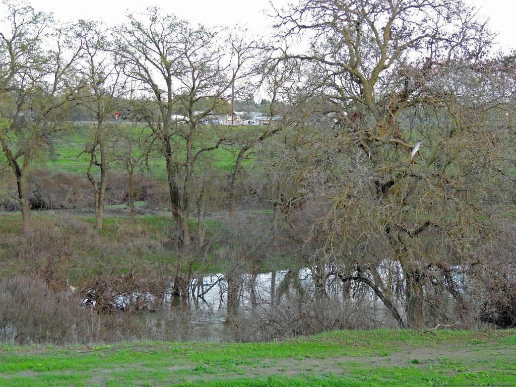 Steelhead Creek by Steve Schmorleitz, NationalParkLover.com