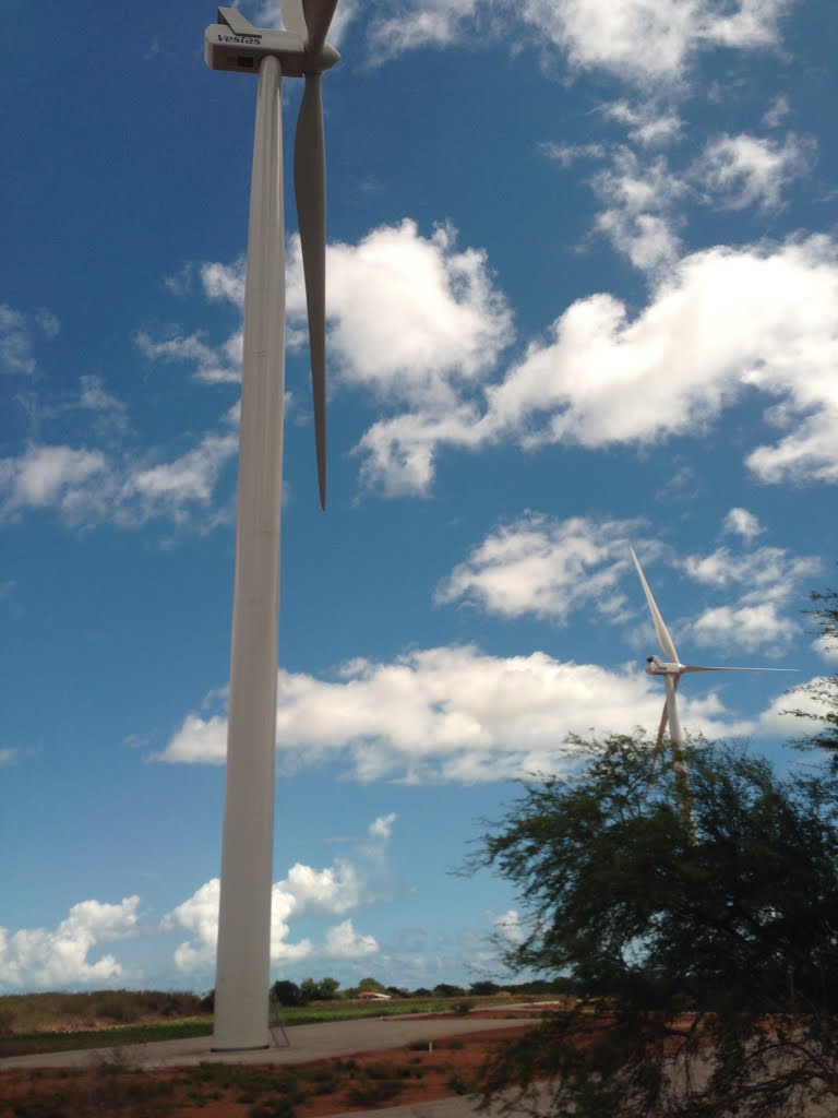 Parque eolico às margens da RN 120, região de São Bento do Norte, Rio Grande do Norte, Brasil by Dedé de Zé Luca