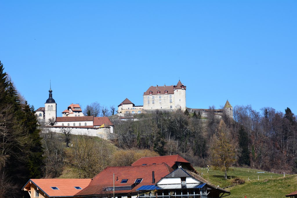 Chateau de Gruyères by Perm59