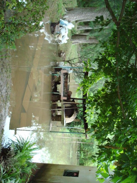 Dique Lujàn, interior de la Isla Inundada por sudestada by roberto ianotti