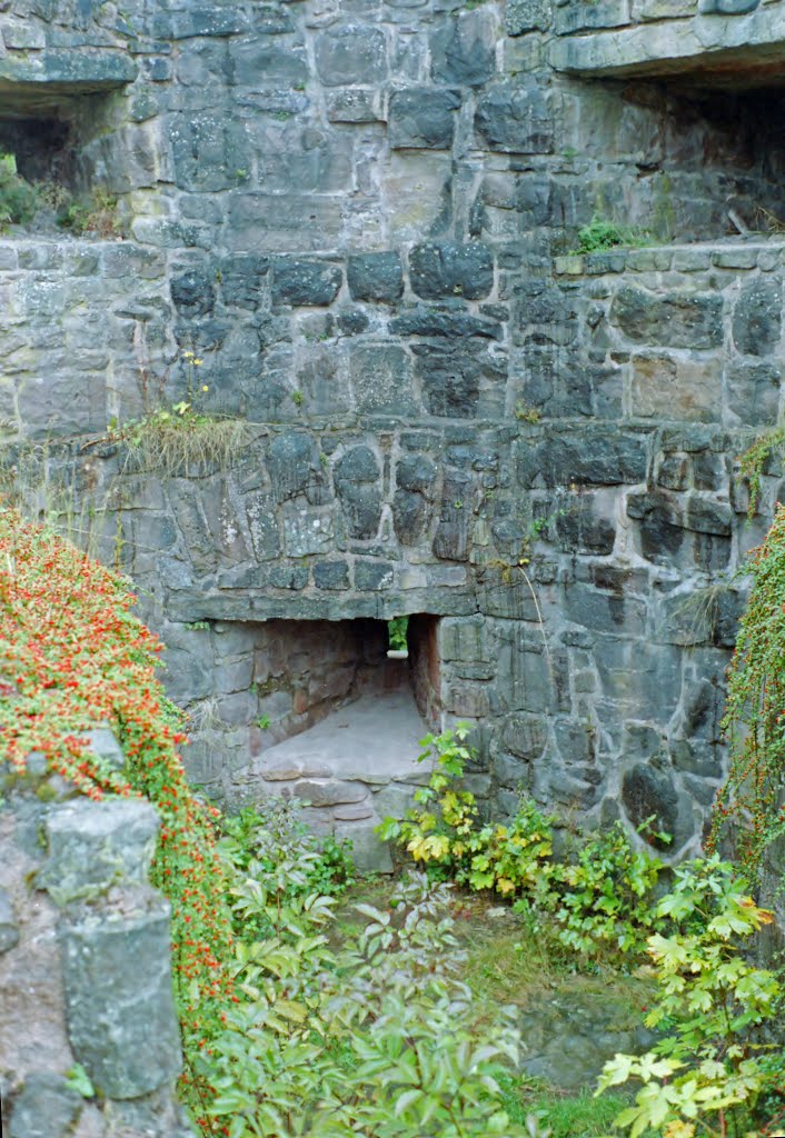 Ruine Hohenschramberg by Jürgen Düring