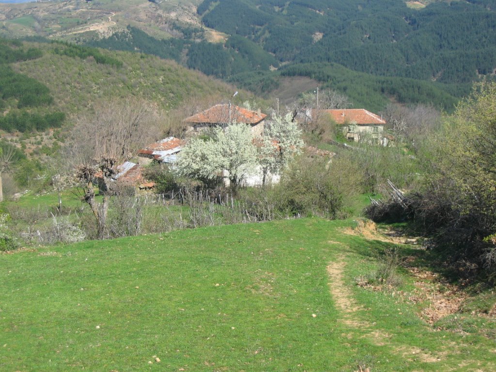 Kayabaşı by Veysel OZTURK