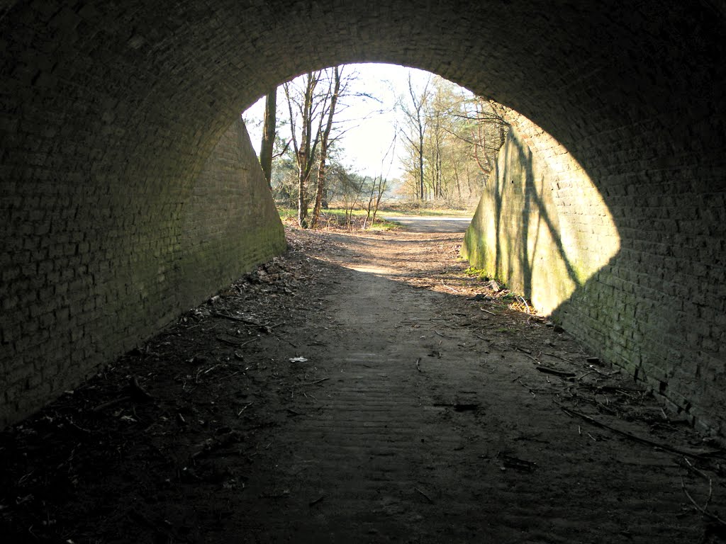 Vanonder de duiker spoordijk , Little tunnel underneath the railroad by Mart61