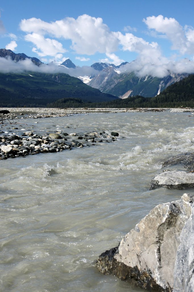 Chilkat River - 5 - 21.08.2010 by torte276