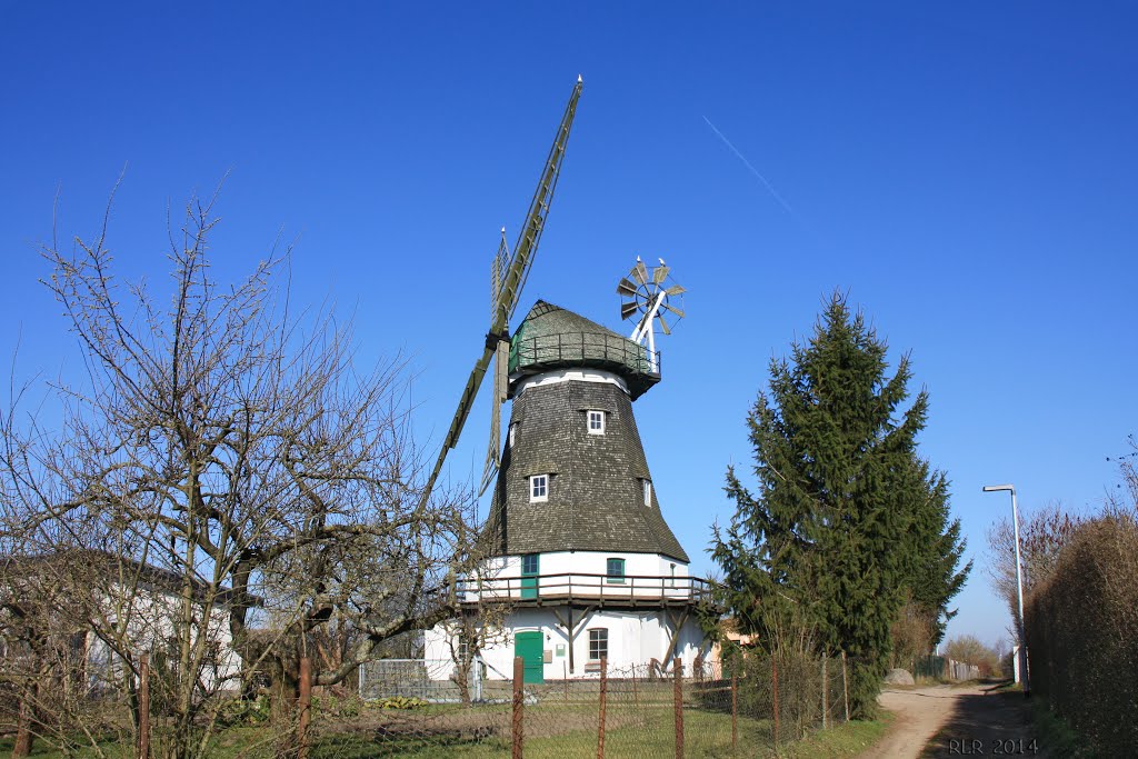 Grevesmühlen, Windmühle by Mecklenburg pro Panoramio