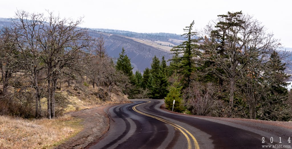 Historic Highway, Rock Creek Road, Eastbound (2014) by A. F. Litt