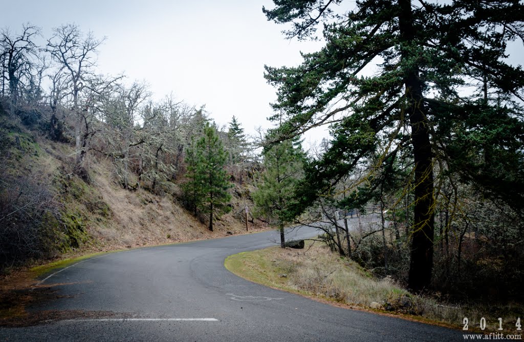 Junction, HCRH State Trail, Westbound (2014) by A. F. Litt