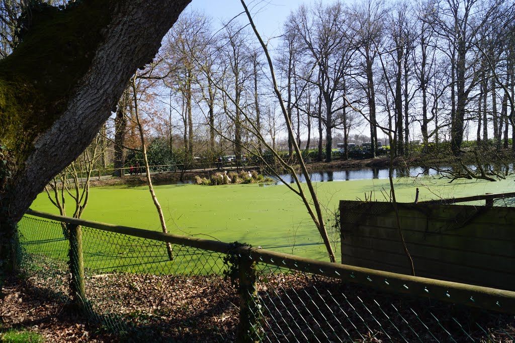 Zoo de la Bourbansais à Pleugueneuc by tresoria