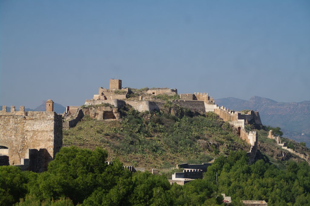 Sagunt: Recinto amurallado del castillo by Alberto Asensio