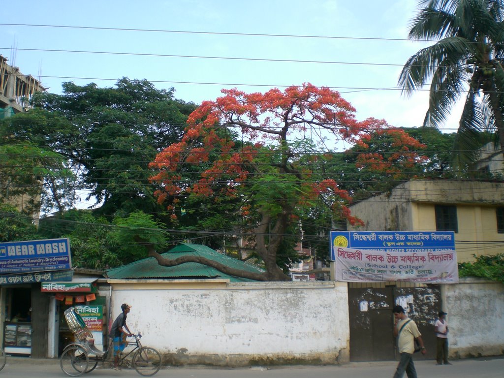 Siddheswari Boys' High School by Hossain Khan