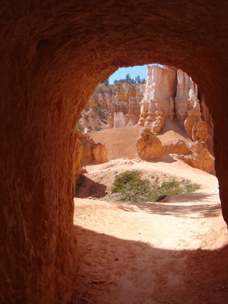 From the Floor of Bryce Canyon by KennethD