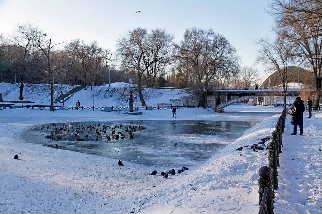 Frosty Days in Lazar' Globa Park (former Valeriy Chkalov Park) - Холодные деньки в парке Л.Глобы (бывш. В.Чкалова) (2) by Annushka77