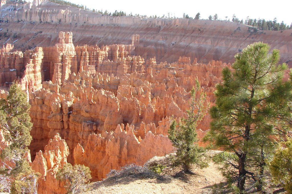 Bryce Canyon National Park by KennethD