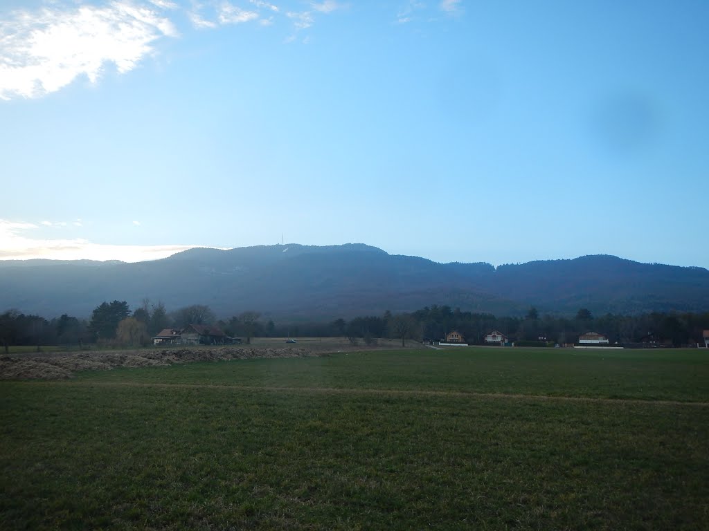 Trail running Saint Cergue, Col de porte, Barillette, Nyon. by renzo olcese