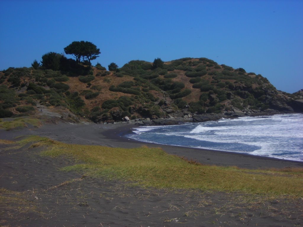 Desembocadura del río Bío-Bío by VivianaValverde